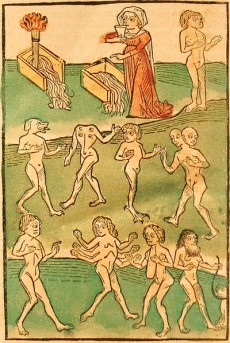Raccolta Gnerucci - particolare